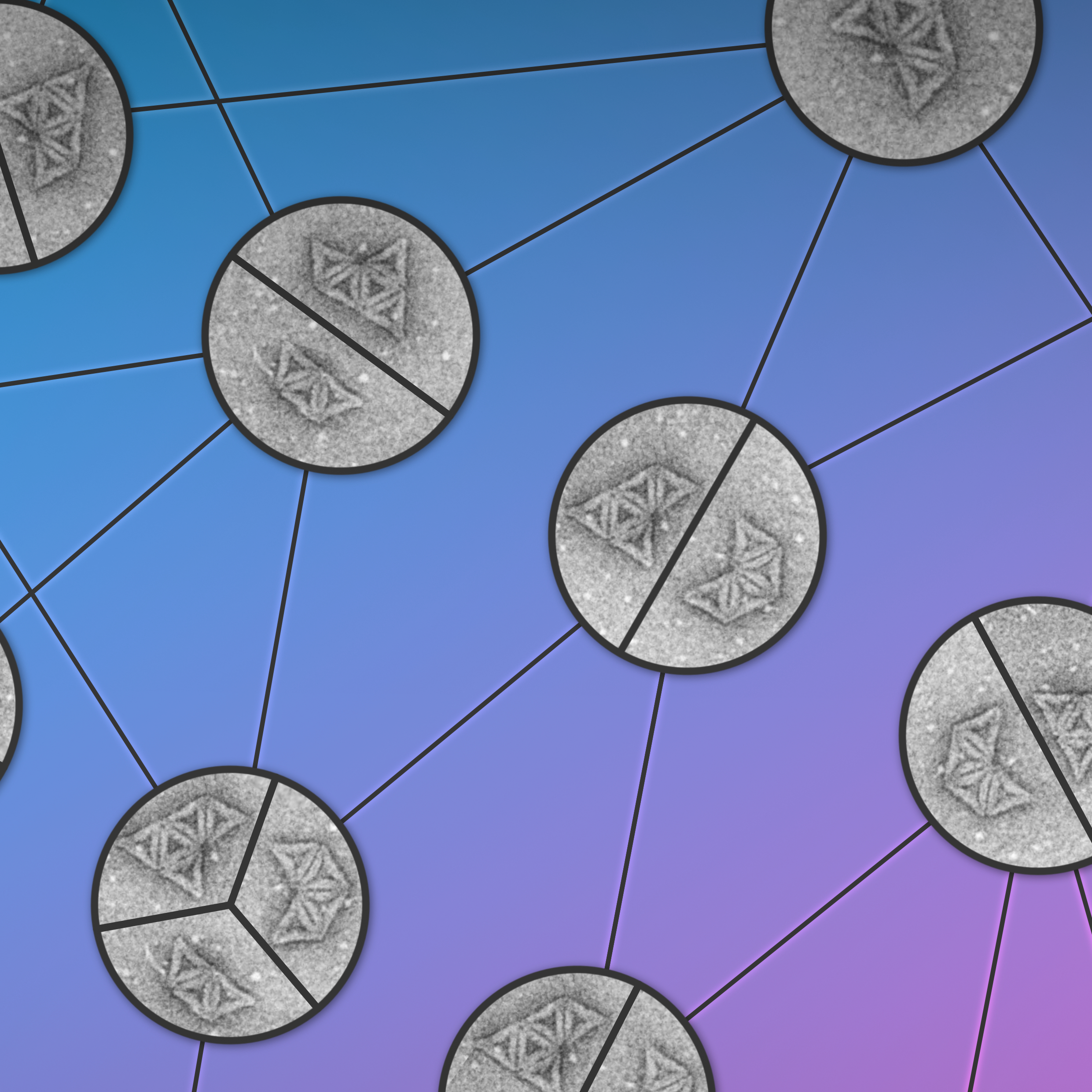 structure of self-assembly